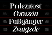 Whispering Beadows Modern Serif, a Serif Font by timelesstype.co (Thumbnail 8 of 10)