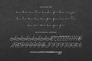 Amsterlusia - Signature Fonts, a Handwritten Font by Bluestype Studio (Thumbnail 10 of 10)