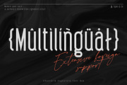Charlotte Signature Font Duo, a Script Font by Type and Co. (Thumbnail 3 of 18)