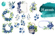 Watercolor Blueberries Clipart, a Food Illustration by Verdigris Studios (Thumbnail 2 of 3)