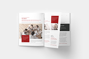 Business Proposal, a Brochure Template by silukEight (Thumbnail 6 of 9)