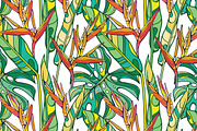 Welcome to the Jungle!, a Background Graphic by Purple Platypus (Thumbnail 5 of 7)
