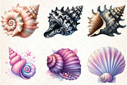 Ocean Sea Shell Sublimation Clipart, an Illustration by Libby Wishes (Thumbnail 6 of 7)