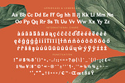 Bailey Retora Groovy Retro Serif, a Serif Font by timelesstype.co (Thumbnail 18 of 20)