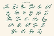 Anatomical - Elegant Script Font, a Script Font by Arendxstudio (Thumbnail 8 of 8)