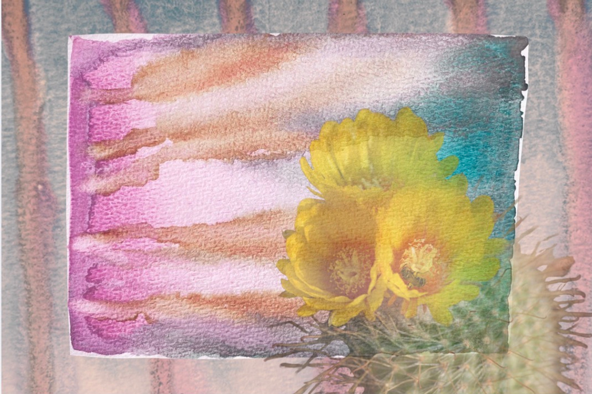 Dreamy Watercolor Drip Backgrounds, a Background Graphic by Eryn Rose Design (Photo 20 of 23)