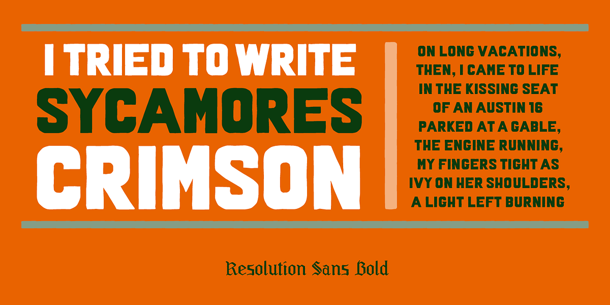 Resolution, a Handwritten Font by Barnbrook Fonts (Photo 6 of 10)