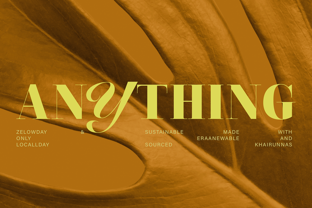 ZT Neue Ralewe Luxury Serif 90 Font, a Serif Font by zelow type (Photo 21 of 24)