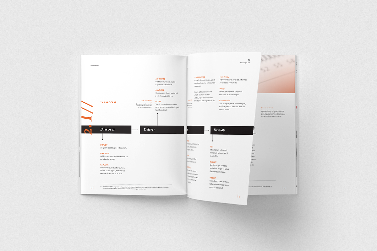 White Paper, a Brochure Template by silukEight (Photo 8 of 19)
