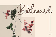 Hallywood - Handwritten Script Font, a Script Font by StringLabs (Thumbnail 4 of 10)