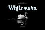 Brohemyan - Modern Vintage Serif, a Serif Font by Krakenbox Studio (Thumbnail 4 of 16)