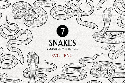 Snake Reptile Vector Line Art Set, an Animal Illustration by MadliArt