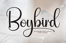 Boybird | Script Font