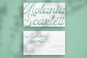 Naeville, a Script Font by StudioRhd (Thumbnail 4 of 10)