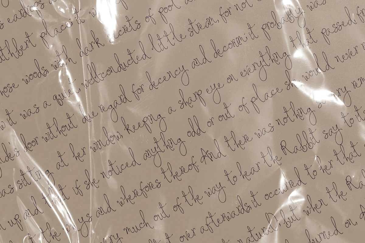 The Cecily Show Signature Font, a Script Font by The October Creative (Photo 4 of 8)
