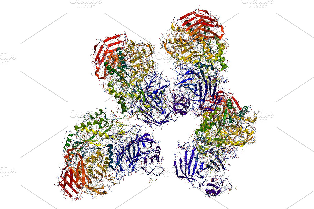 Sucrase-isomaltase enzyme structure, a Healthcare Illustration by Leonid Andronov