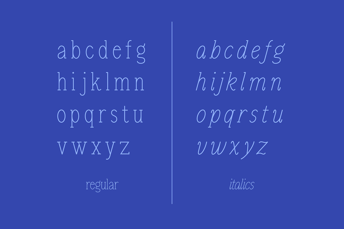 Newbie, a Serif Font by HalfAwakeJake (Photo 6 of 7)