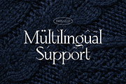 Brisalle Stylish Artistic Font, a Serif Font by Graphue (Thumbnail 4 of 9)