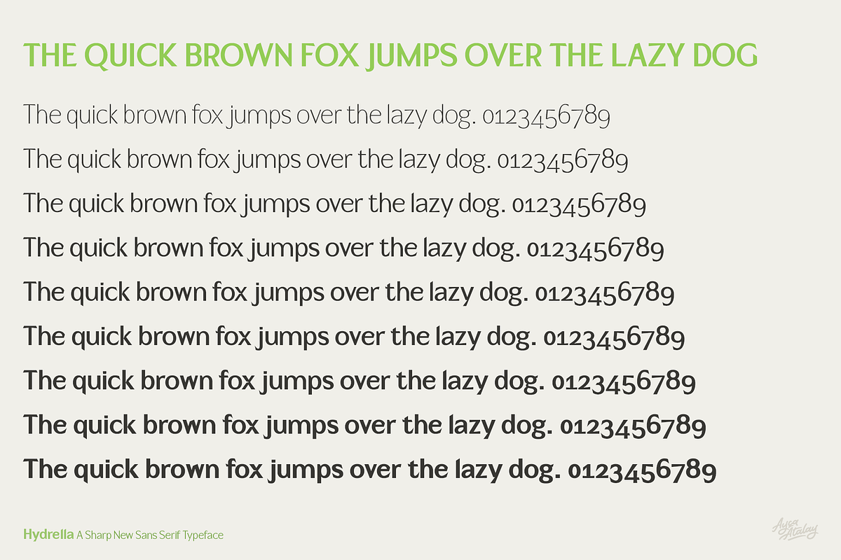 Hydrella | A Sharp New Sans, a Sans Serif Font by Ayca Atalay (Photo 8 of 10)