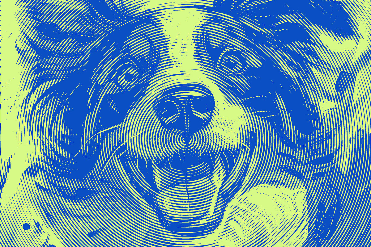 Circular Halftone Pattern Photoshop, a Layer Style Add-On by LESZ Design (Photo 3 of 6)