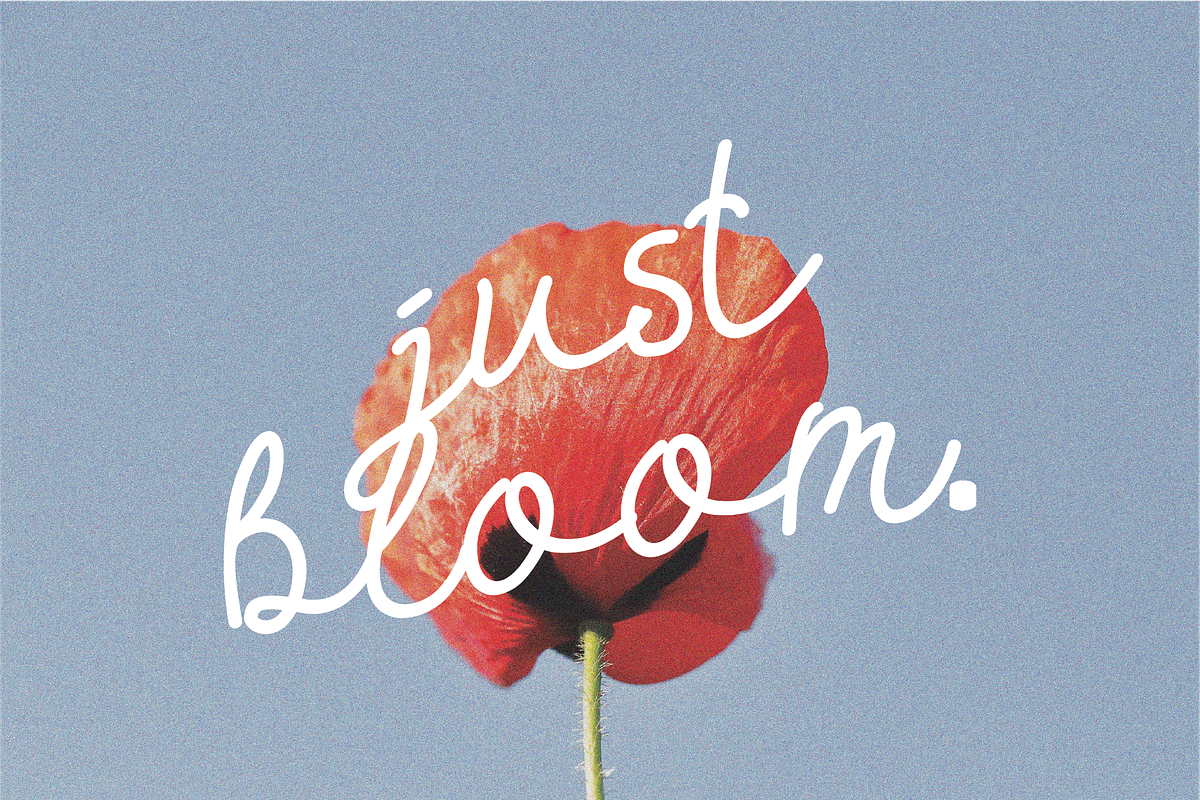 Bloomette Handwritten Script Font, a Handwritten Font by Berdansabersama (Photo 5 of 8)