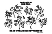 Hand Drawn BOTANICAL BERRIES, an Object Graphic by Artflorara (Thumbnail 6 of 9)