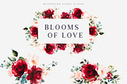 Watercolor Burgundy Blush Flowers, a Decorative Illustration by Patishop Art (Thumbnail 5 of 8)