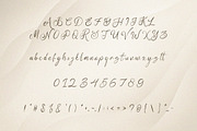 Ulya Elegant Script Font, a Script Font by NTC Graphic (Thumbnail 7 of 8)