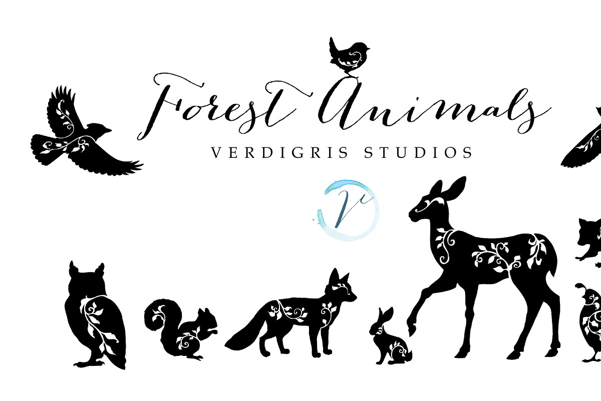 Forest Animals