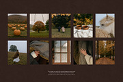 90+ Autumn Stock Photos, a Nature Photo by Trissa (Thumbnail 2 of 12)