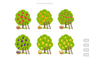 Fruit Trees Vector Set, a Graphic by Ilia Design (Thumbnail 11 of 12)