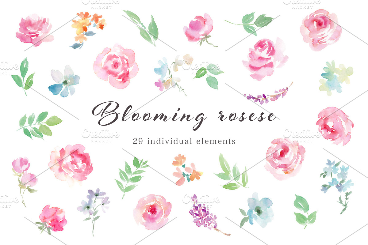 Blooming roses watercolor clipart, a Decorative Illustration by Sawango Designs (Photo 2 of 4)