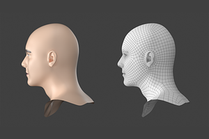 Natural Male Head 02 Generic Mesh