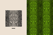 Iconic Animal Print Patterns, a Pattern Graphic by Jaclyn Caris (Thumbnail 11 of 16)