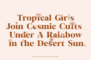 Palm Springs Graphic Font, a Serif Font by Tropical Type (Thumbnail 6 of 11)