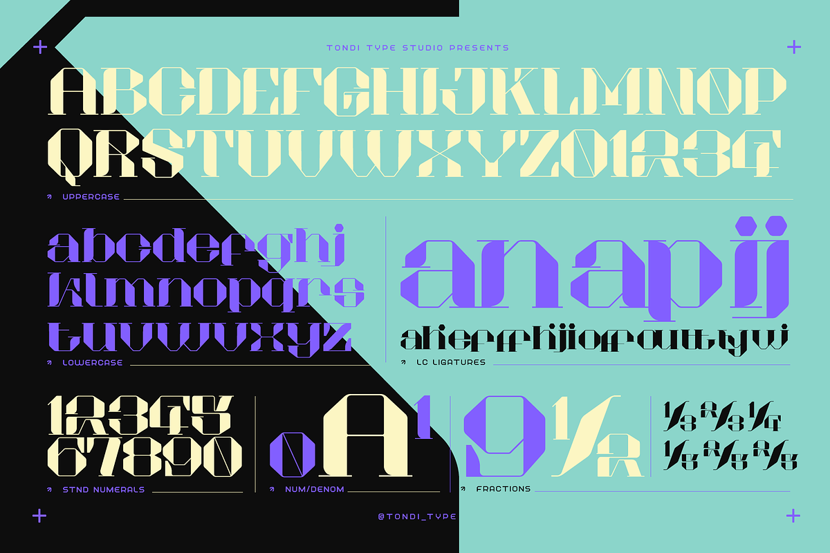 Akadis Neue - Contemporary Serif, a Serif Font by Tondi Type Studio (Photo 5 of 19)