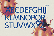 Veyla — Fashion-Edged Display Poise, a Sans Serif Font by ethylene.creative (Thumbnail 3 of 12)
