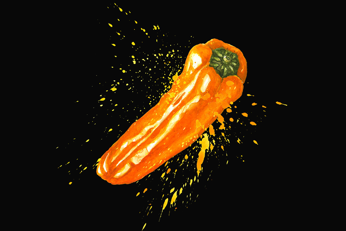Hand-drawn Watercolor Mini Peppers, a Decorative Illustration by Margo Miller (Photo 8 of 17)
