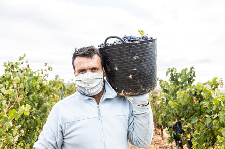 Harvesting works stock photo containing horizontal and males