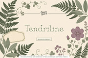 Tendriline Botanical Serif Font, a Serif Font by Graphic Spirit (Thumbnail 1 of 8)