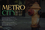 Horison Modern Serif Typeface, a Serif Font by Font Kingdom (Thumbnail 6 of 7)