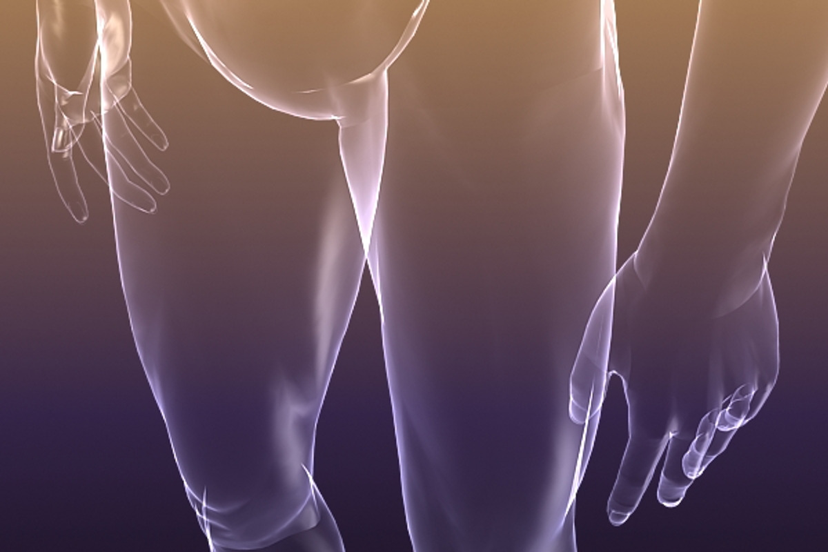 Male And Female Anatomy X-ray Bodies, a Characters & Person 3D Model by VisualCG (Photo 6 of 15)