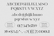 Shalomita, a Serif Font by Burntilldead (Thumbnail 9 of 14)