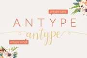 Antype Script And Sans, a Script Font by Studio design (Thumbnail 5 of 7)