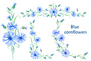 Blue cornflowers bundle, a Decorative Illustration by EshaStudio (Thumbnail 3 of 15)