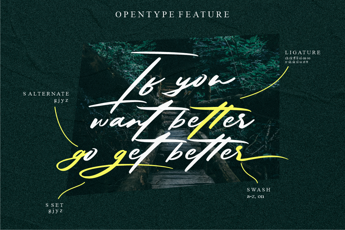 Solustion Bold Signature, a Script Font by Glyphstyle (Photo 3 of 11)