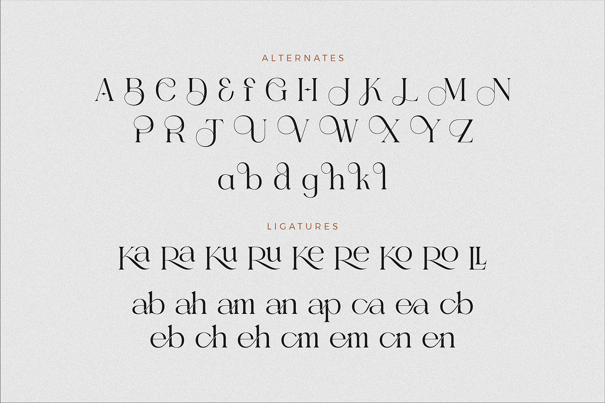 Gealova Modern Serif Font, a Serif Font by Storytype Studio (Photo 13 of 15)