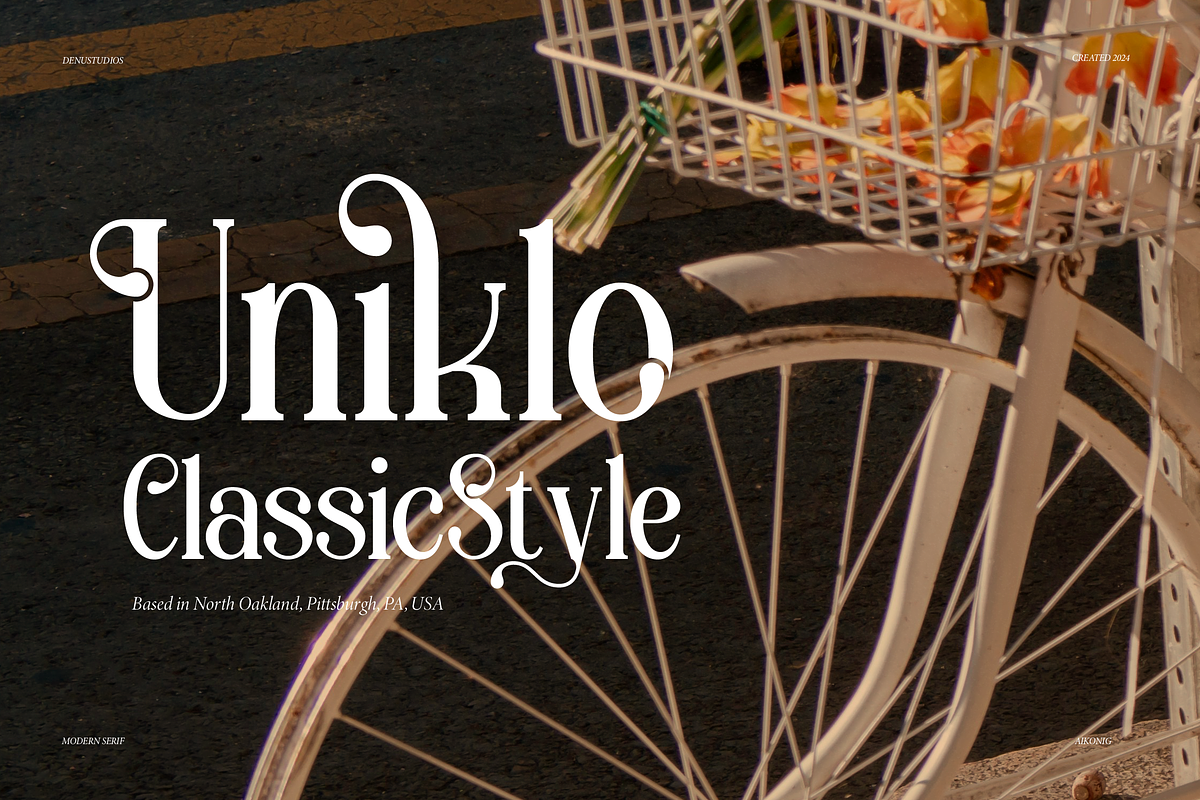 Aikonig | Modern Serif Font, a Serif Font by Denustudios (Photo 5 of 15)