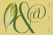 Classic Makore Modern Serif Font, a Serif Font by timelesstype.co (Thumbnail 4 of 20)