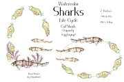 Watercolor Sharks Life Cycle Set, an Education Illustration by MayaNavits (Thumbnail 6 of 9)